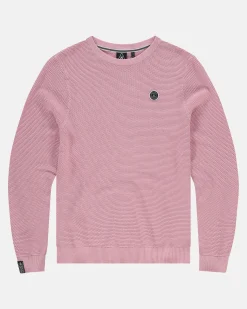 Gaastra Truien En Sweaters*100% Katoenen Boyd Trui