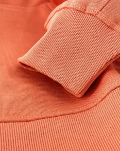 Gaastra Truien En Sweaters*Klassieke Arcticfairtradehoody